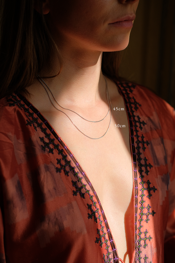 Madagascar Sunset Moth