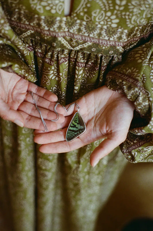 Madagascar Sunset Moth