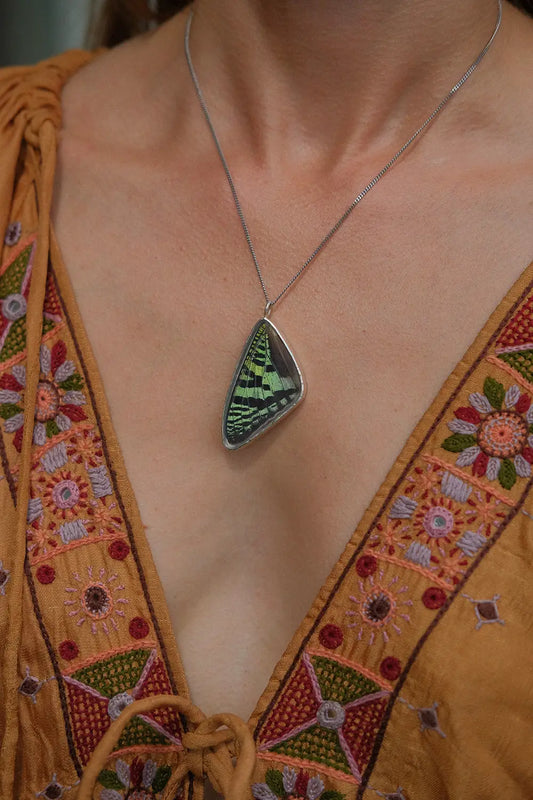 Madagascar Sunset Moth