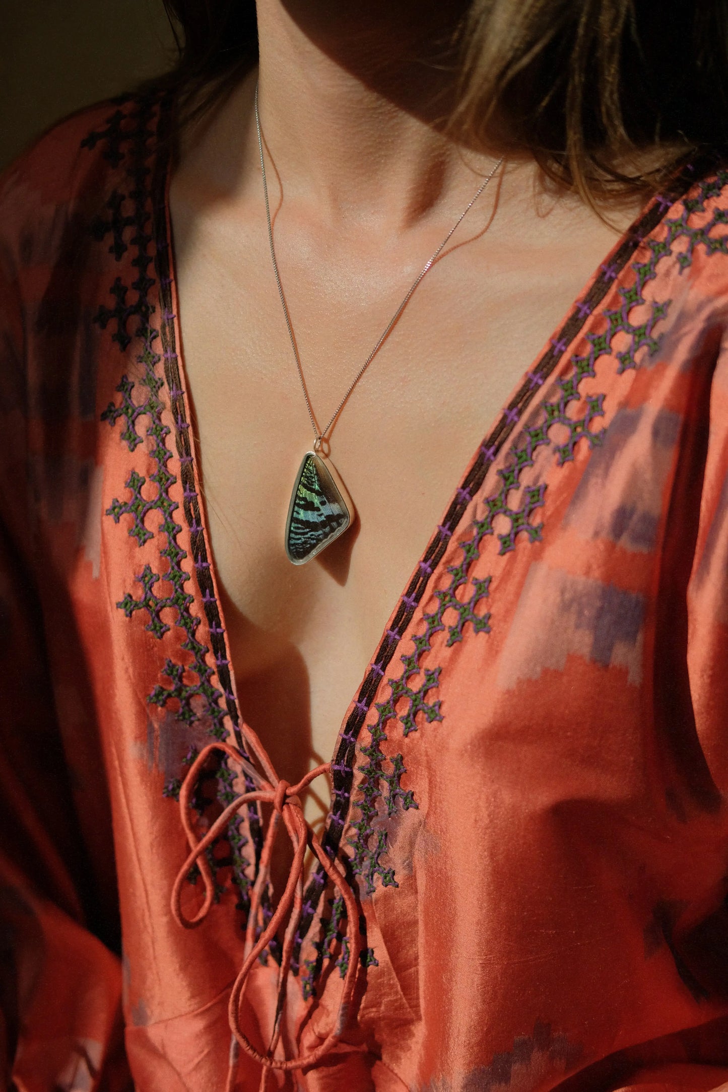 Madagascar Sunset Moth