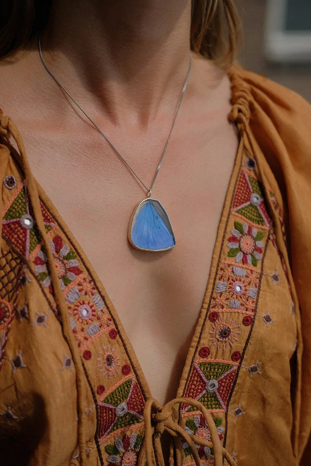 Morpho Adonis