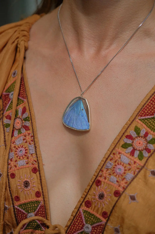 Morpho Adonis