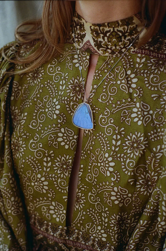 Morpho Adonis