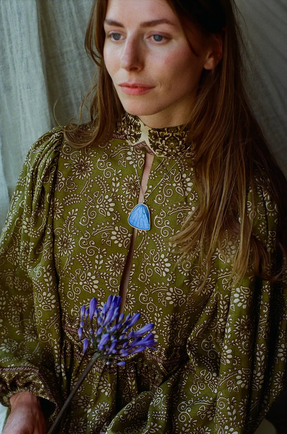 Morpho Adonis